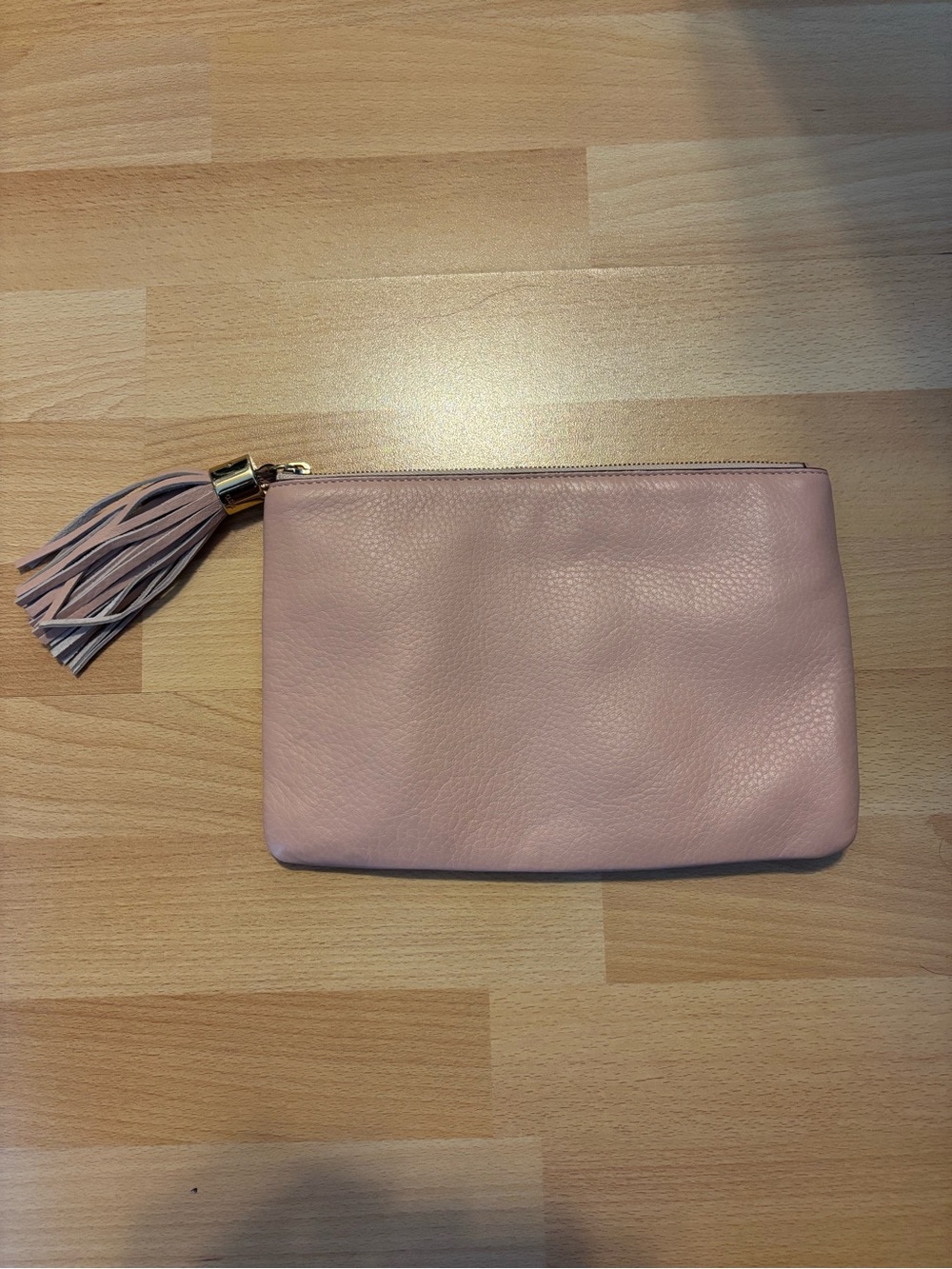 Gili Soft Pink Leather Tassel Zip Pouch